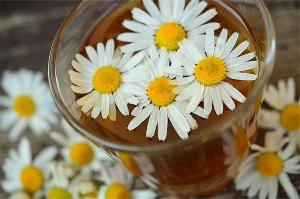 知ってる？ハーブの花は食べられる！